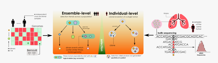 Screenshot, HD Png Download