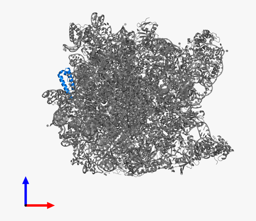 Sketch, HD Png Download