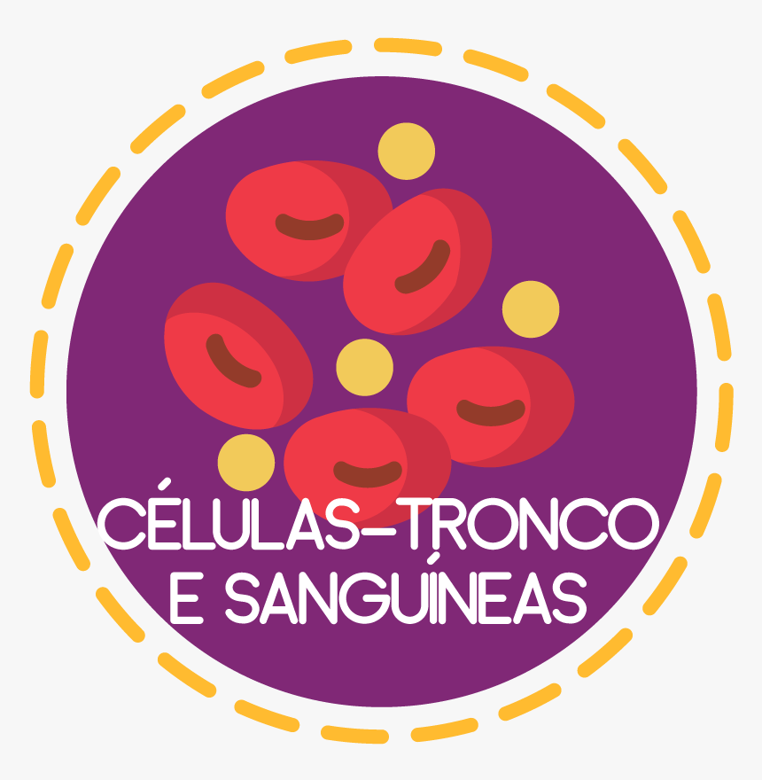 Células-tronco E Sanguíneas - Sm Center Angono, HD Png Download