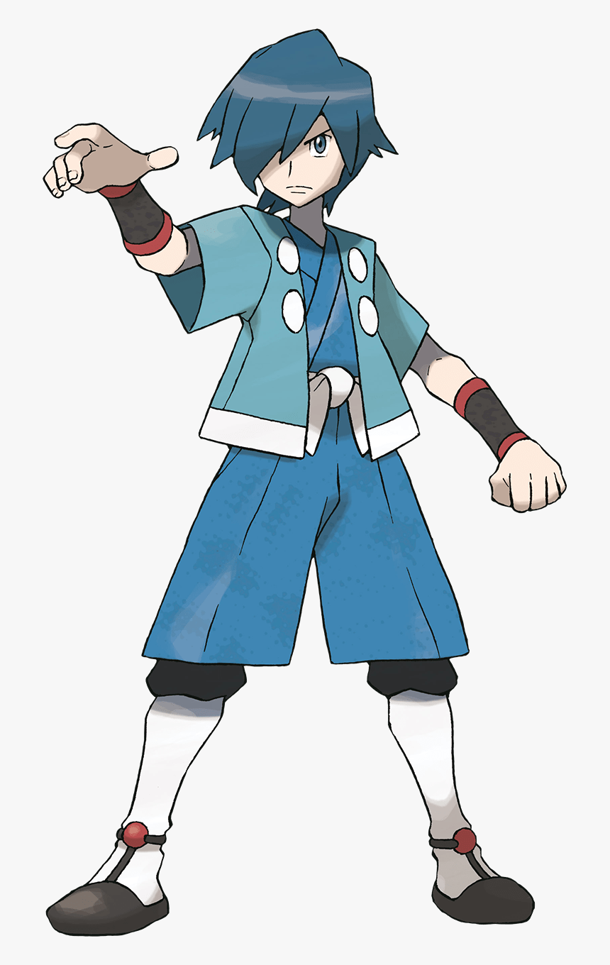 Pokemon Falkner, HD Png Download