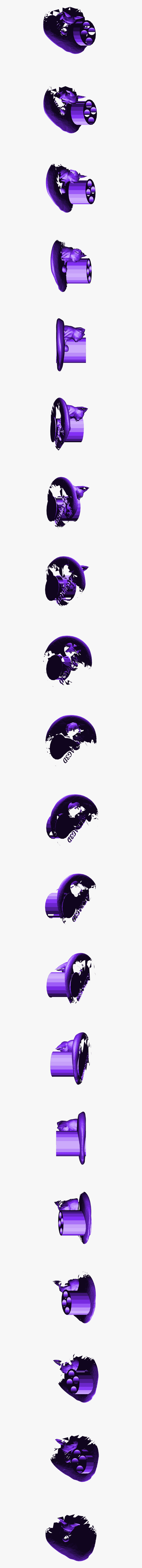 Pua Moana Png, Transparent Png