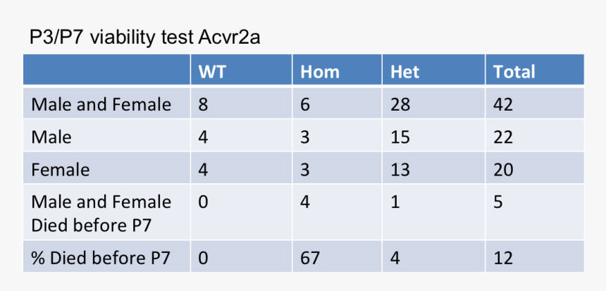 Number, HD Png Download