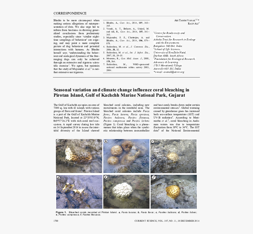 Marine Biology, HD Png Download