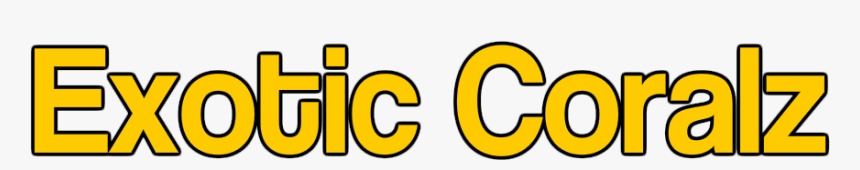 Exotic-corals - Orange, HD Png Download