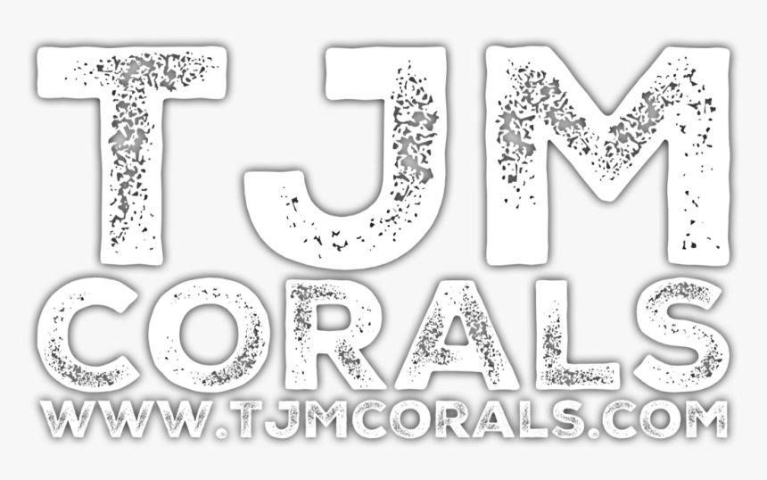 Tjm Corals - Motif, HD Png Download