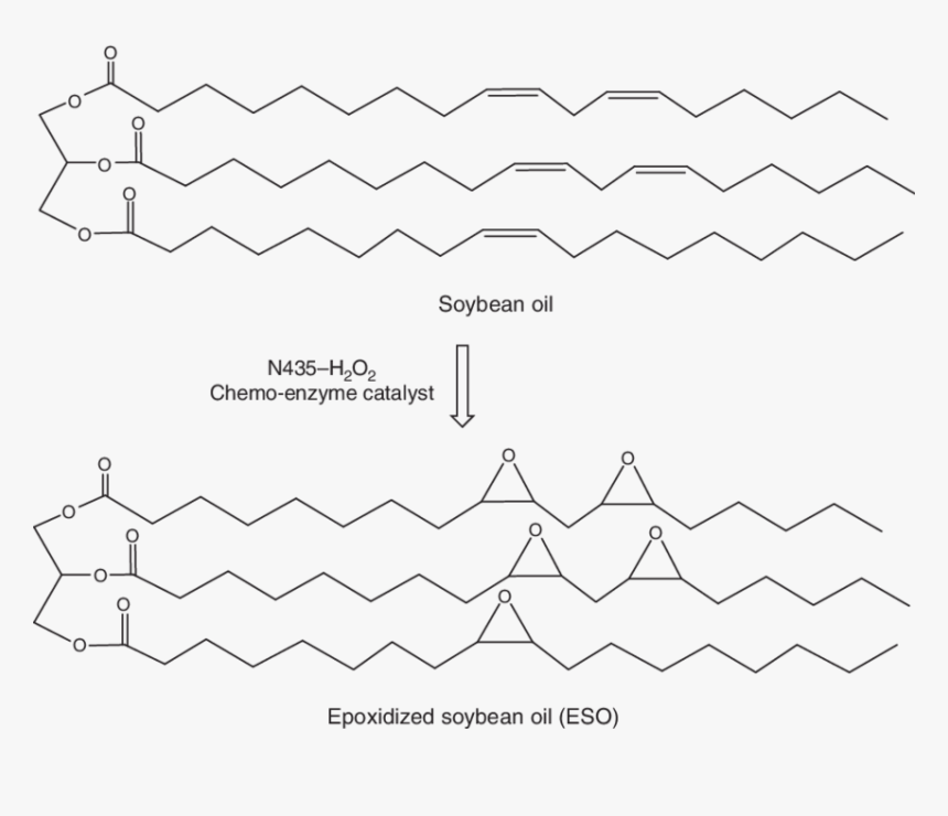 Diagram, HD Png Download