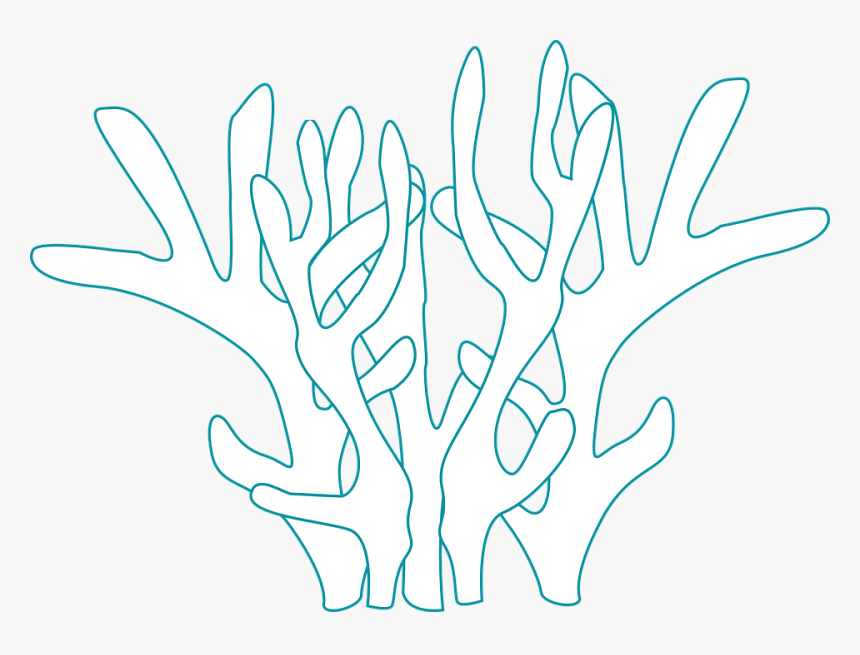 Coral, Underwater, Plant, Fauna, Marine - Calligraphy, HD Png Download