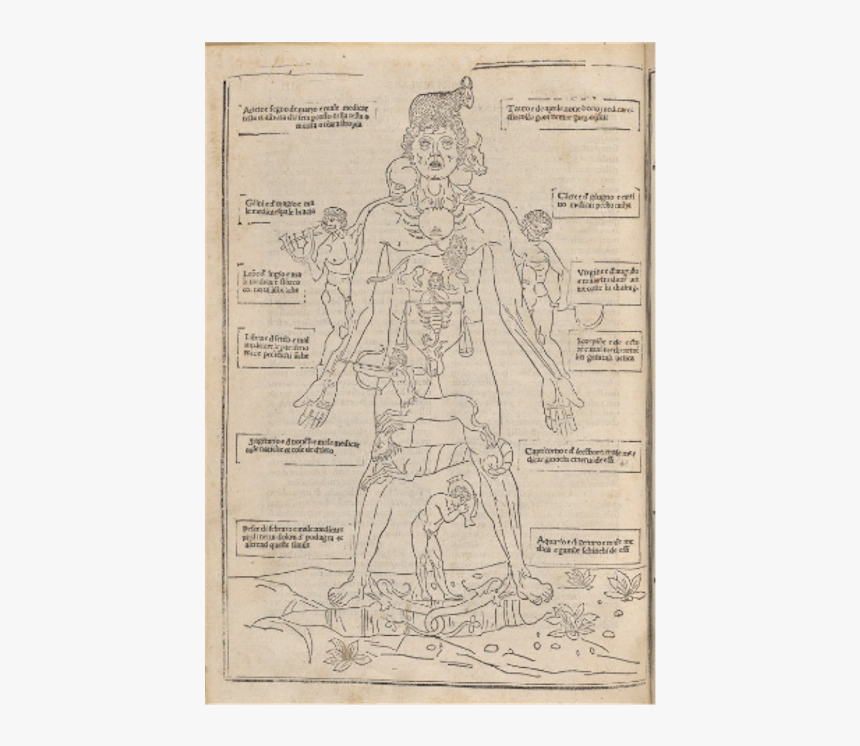 Standing, HD Png Download