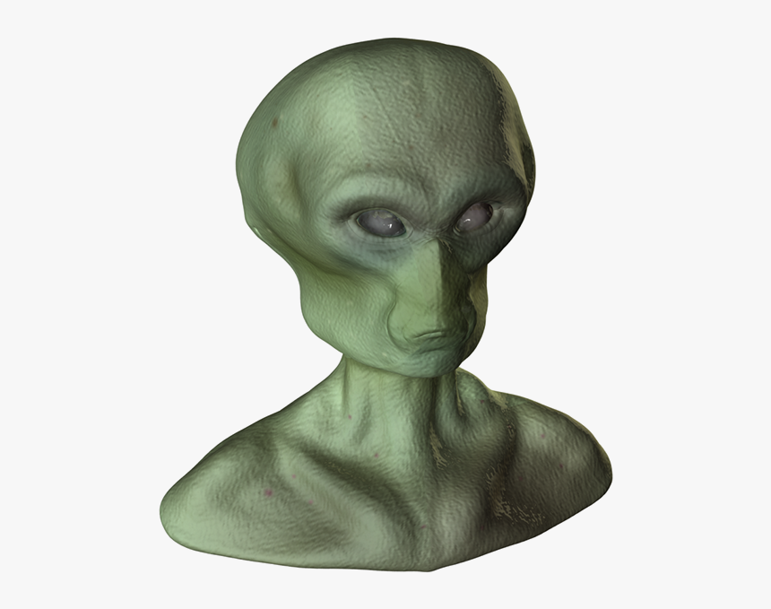 Bust, HD Png Download