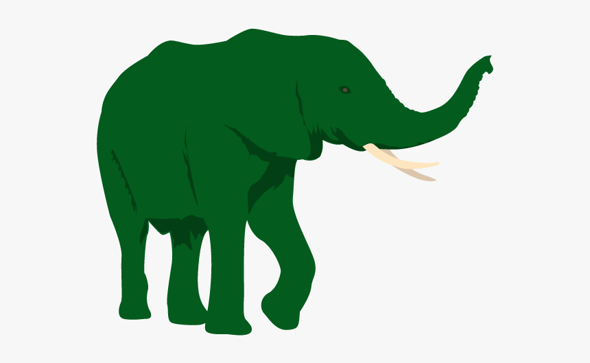 African Elephant White Background, HD Png Download