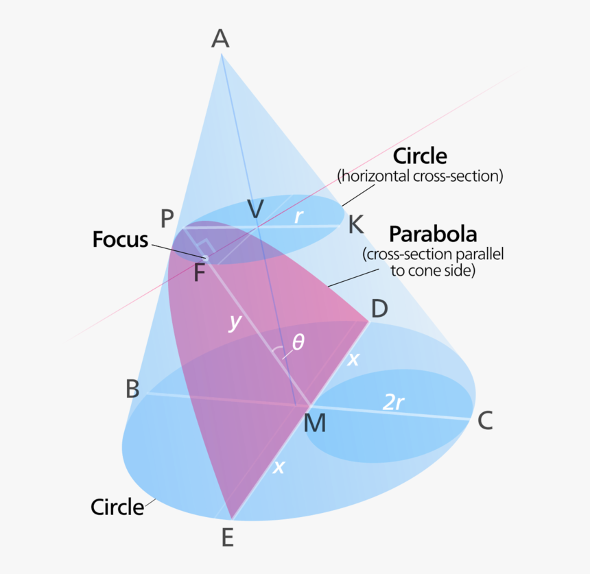 The Image Shows A Cone With A Parabola And A Circle - Parabola Cross Section Cone, HD Png Download