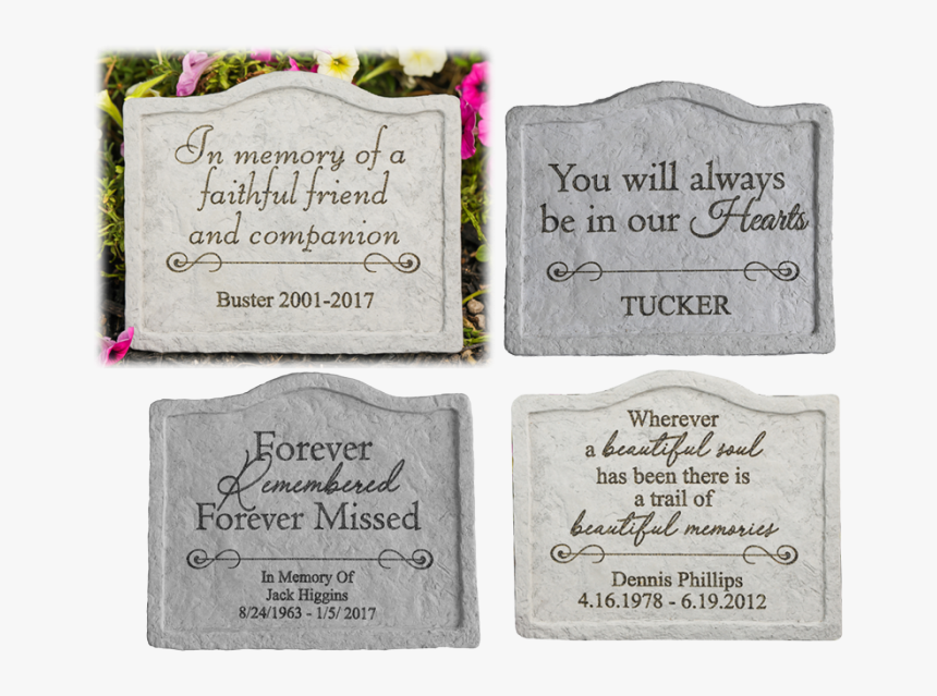 Bridal Shower, HD Png Download