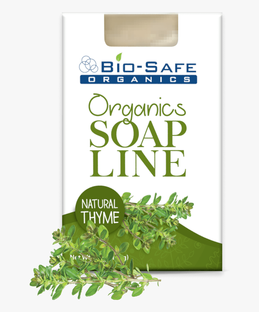 Holly, HD Png Download