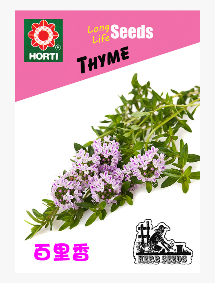 Lobelia, HD Png Download