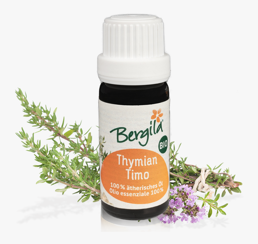 Origine Du Thym, HD Png Download
