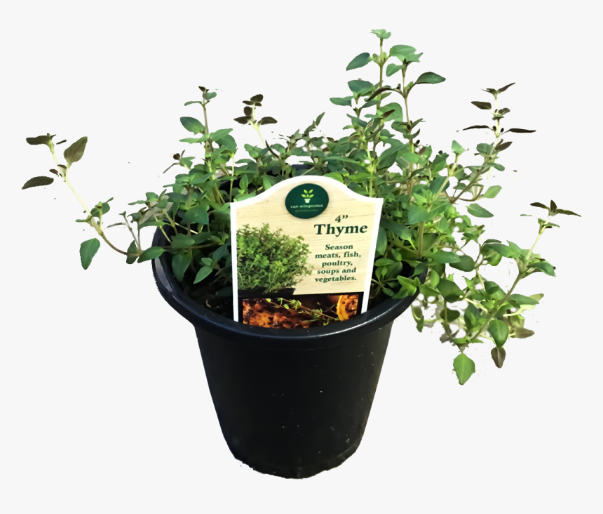 Flowerpot, HD Png Download