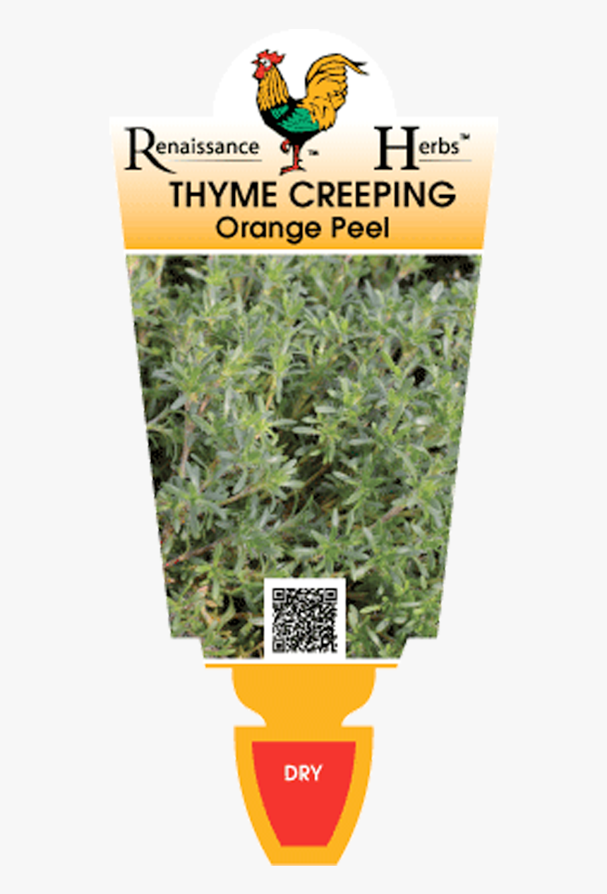 Lads Love Plant Flower, HD Png Download