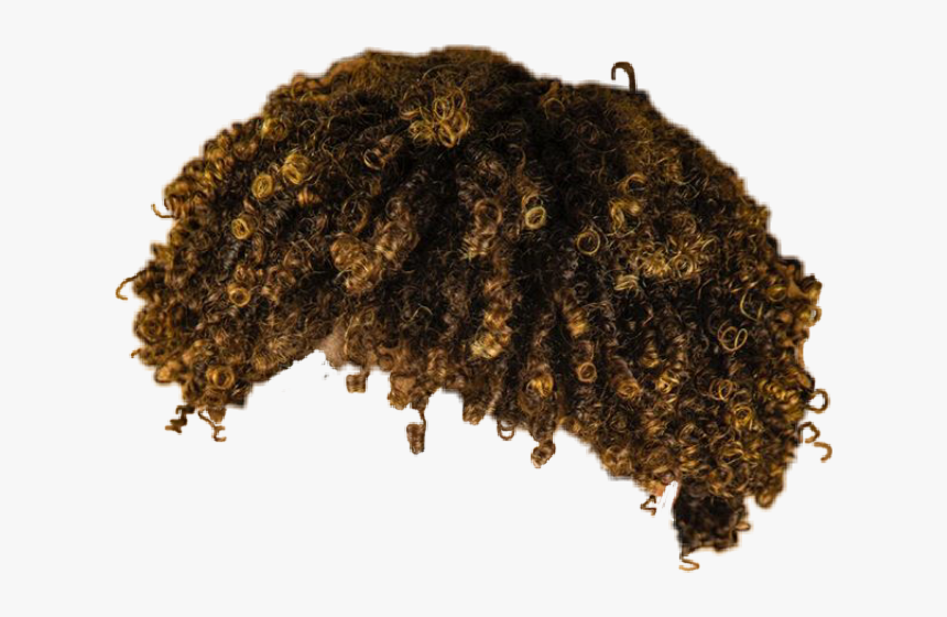 Fjj Freetoedit - Lace Wig, HD Png Download