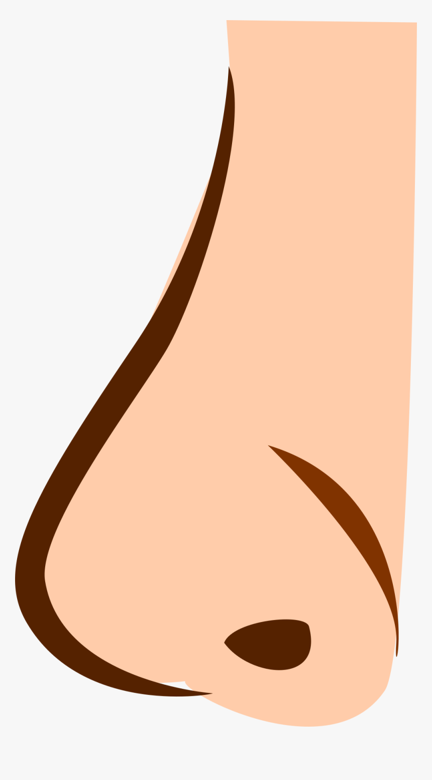 New Image , Png Download - Png De Nariz, Transparent Png