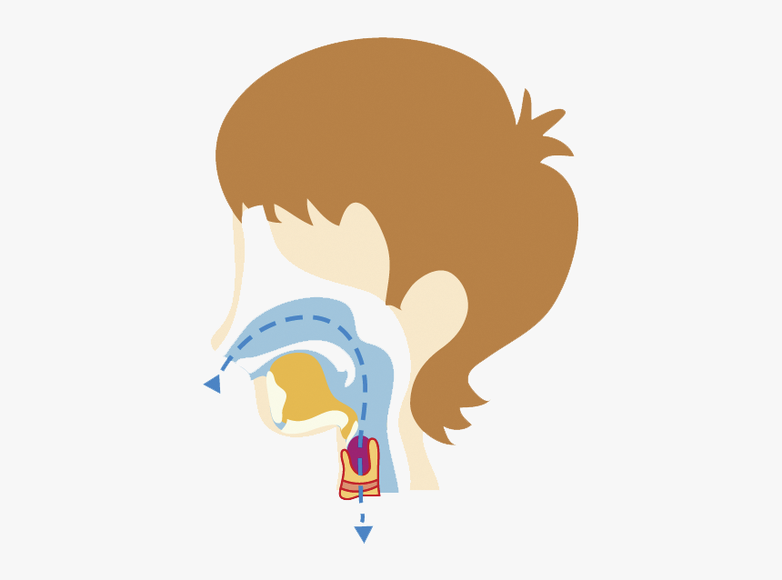 Illustration, HD Png Download