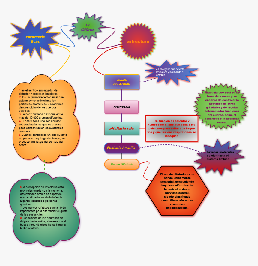 Diagram, HD Png Download