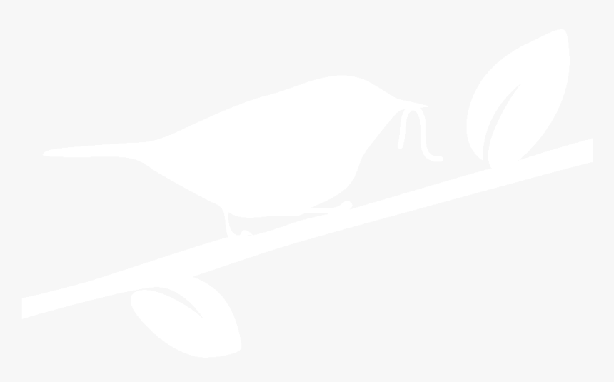 Perching Bird, HD Png Download