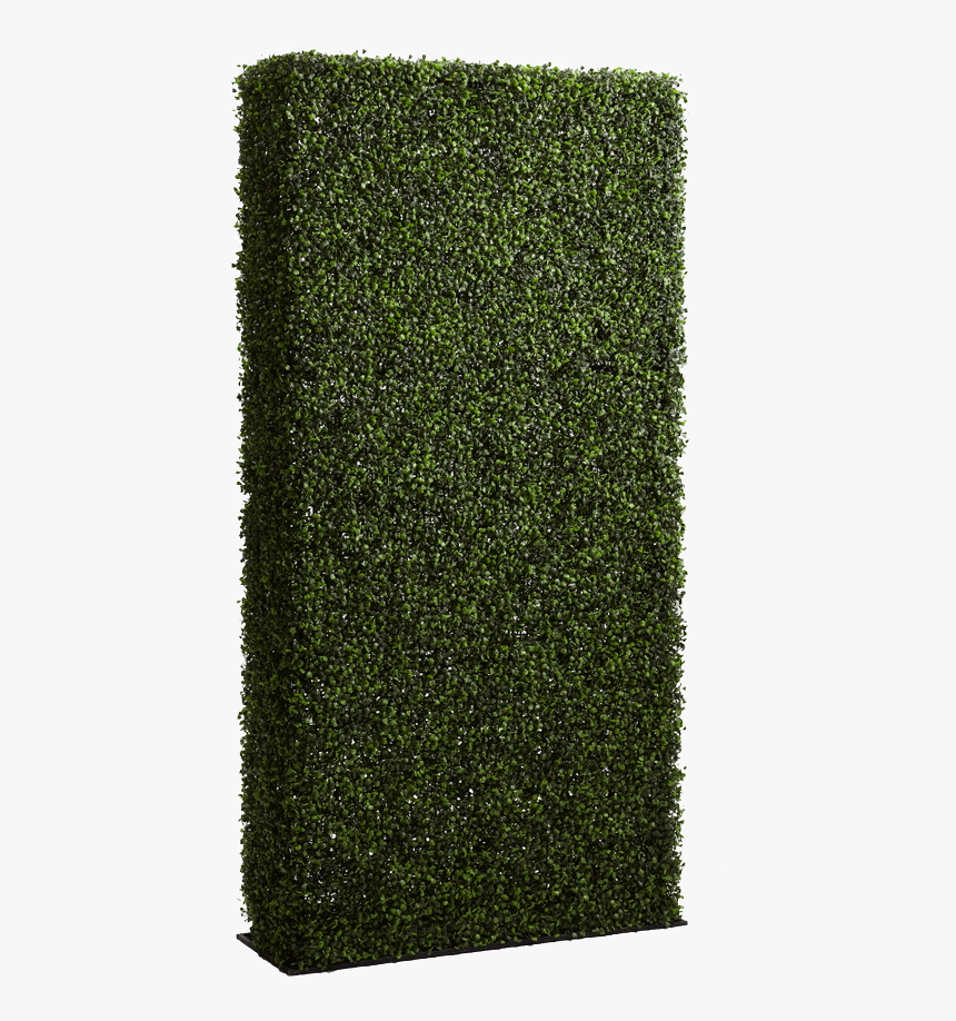 Hedge, HD Png Download