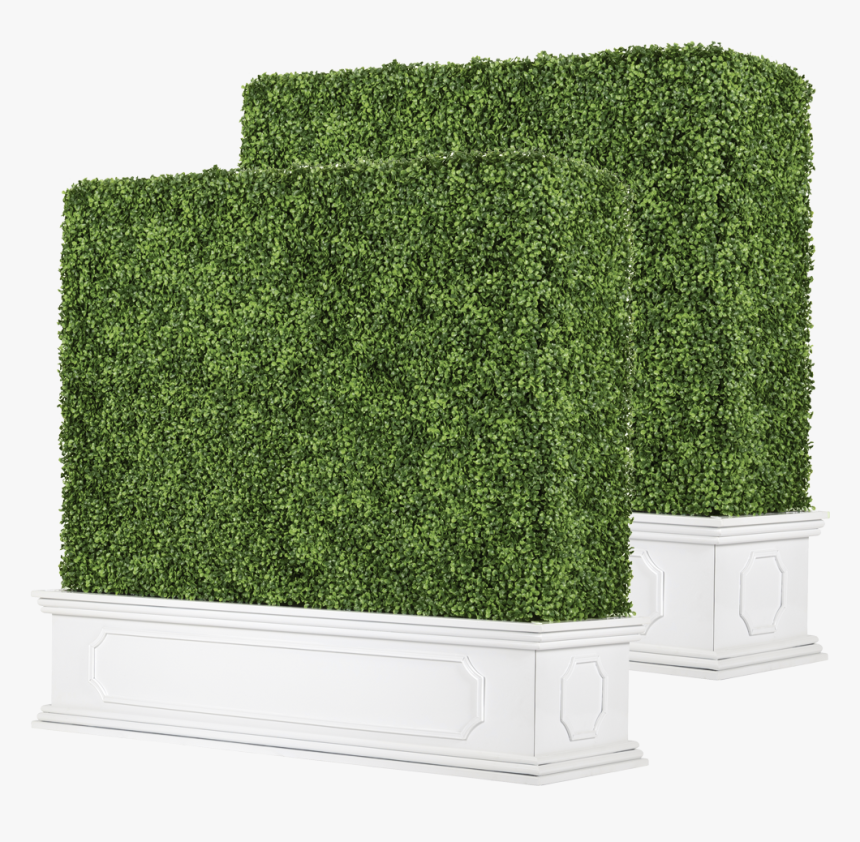 Hedge, HD Png Download
