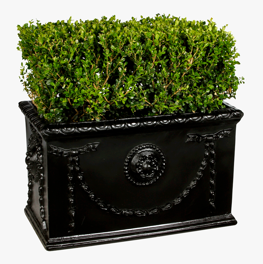 Flowerpot, HD Png Download