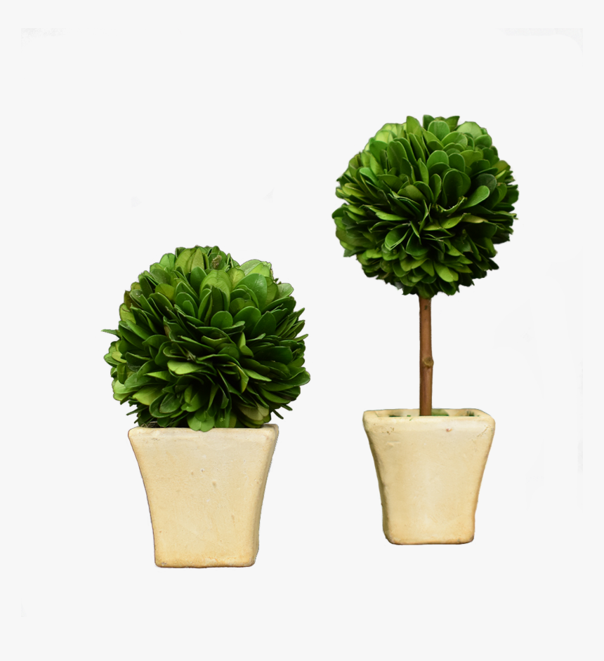 N - Flowerpot, HD Png Download