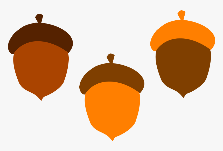Eikel, Brown, Val, Voedsel, Boom, Orange, Eekhoorn - Acorns Clipart, HD Png Download