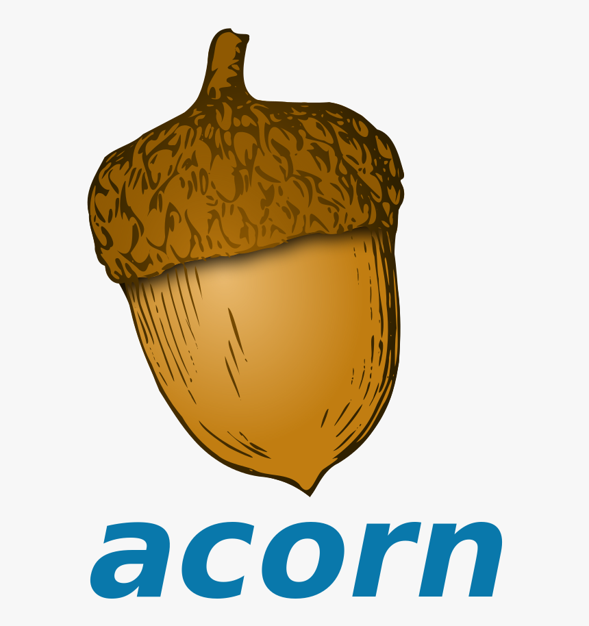 Transparent Acorn Clipart Png - Cartoon Acorn, Png Download