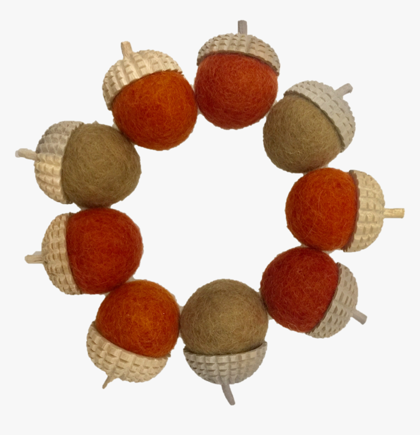 Papoose Acorn, HD Png Download