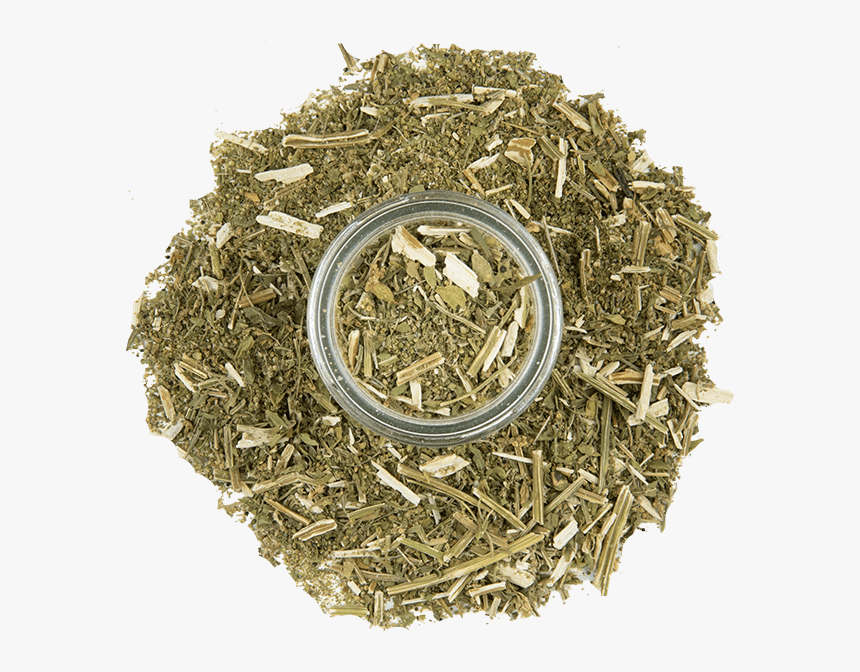 Epazote Leaf And Stem 3 - Lu'an Melon Seed Tea, HD Png Download