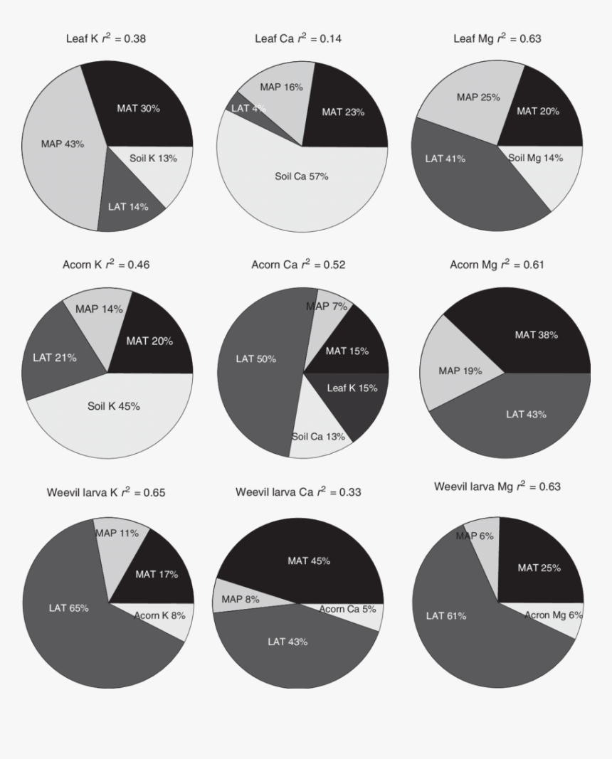Circle, HD Png Download