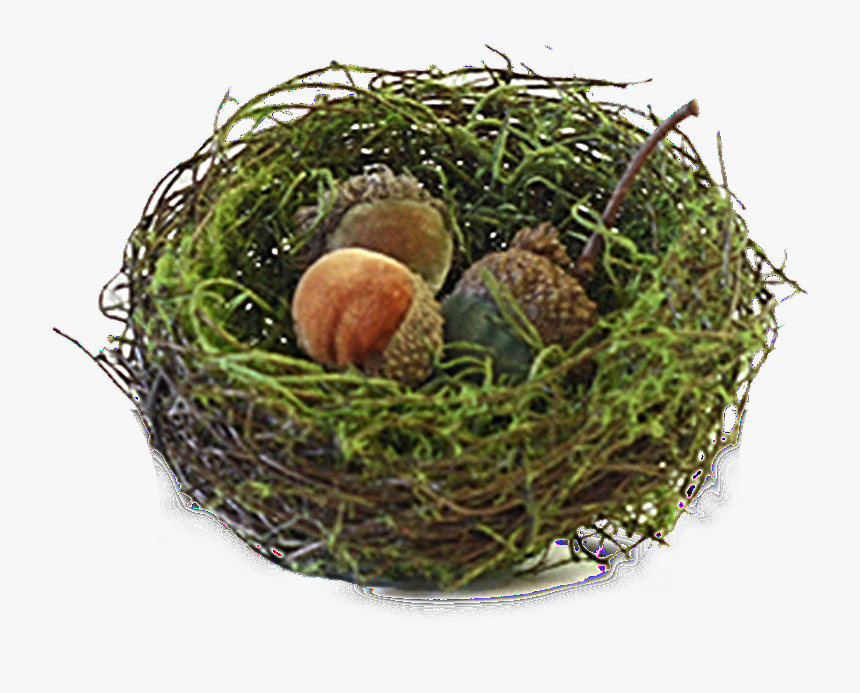 Data Image Id 203046060057 
 Class Productimg Product - Nest, HD Png Download