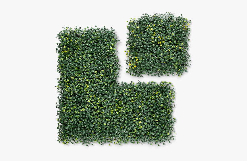 Grass, HD Png Download