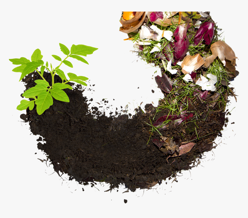 Covering The Basics - Food Waste Recycle Png, Transparent Png