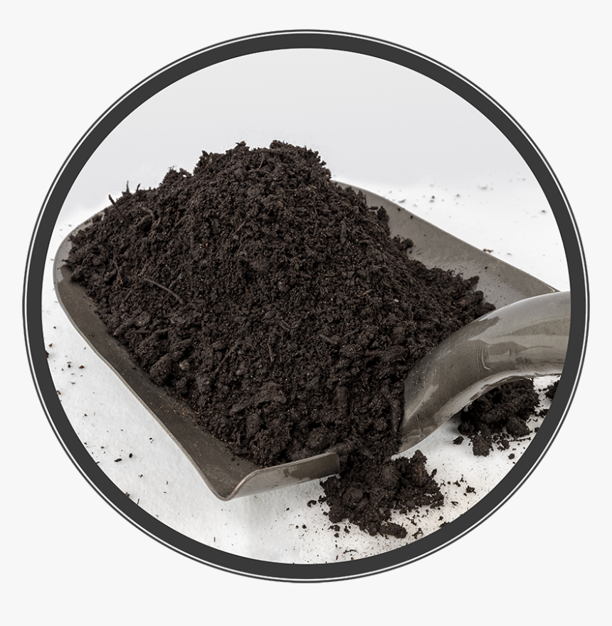 Gb Compost Alt - Assam Tea, HD Png Download
