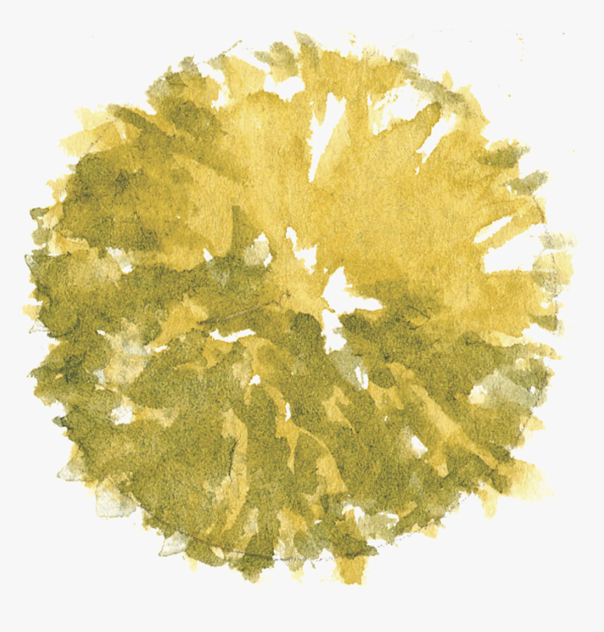 Trees For Photoshop Plan, HD Png Download