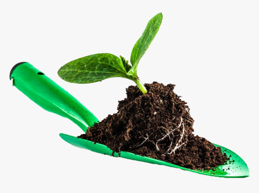 Leaves In Soil Png Image - Png Shovel In Soil, Transparent Png