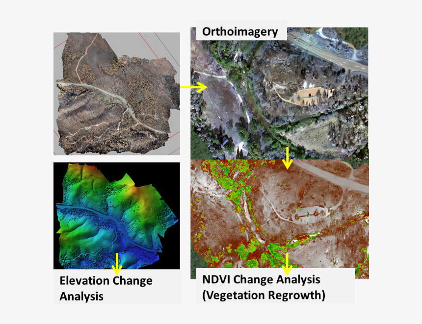 Transparent Vegetation Png - Outcrop, Png Download