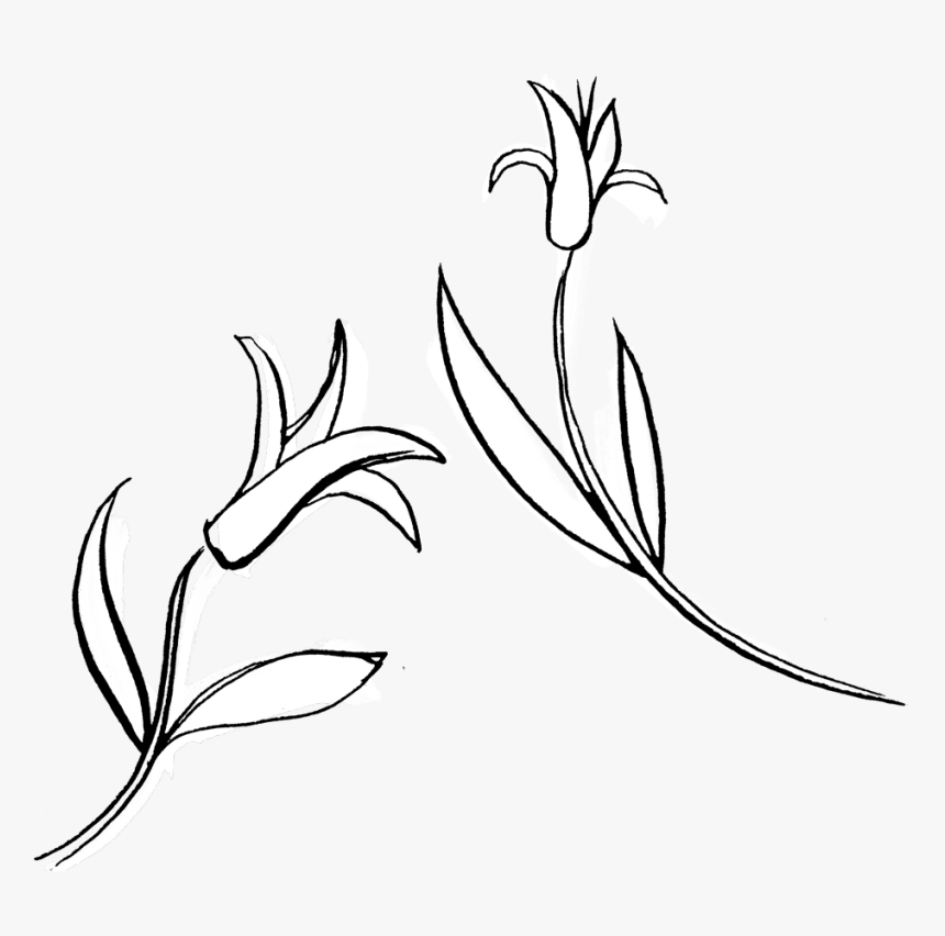 Garen Png , Png Download - Sketch, Transparent Png