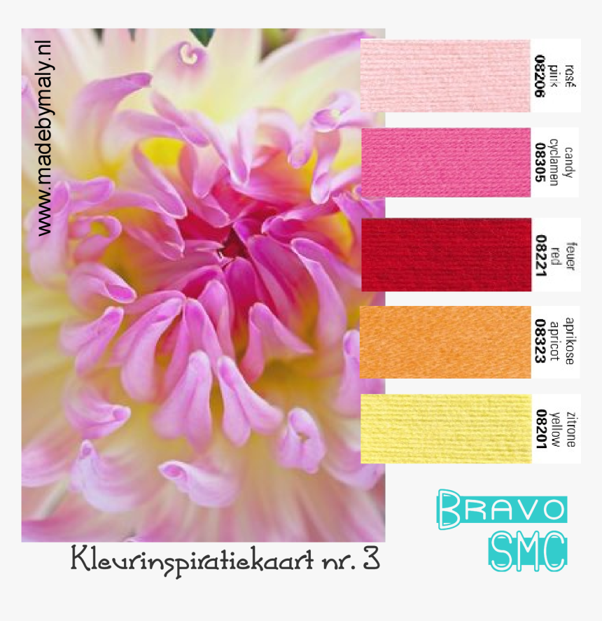 Chrysanths, HD Png Download