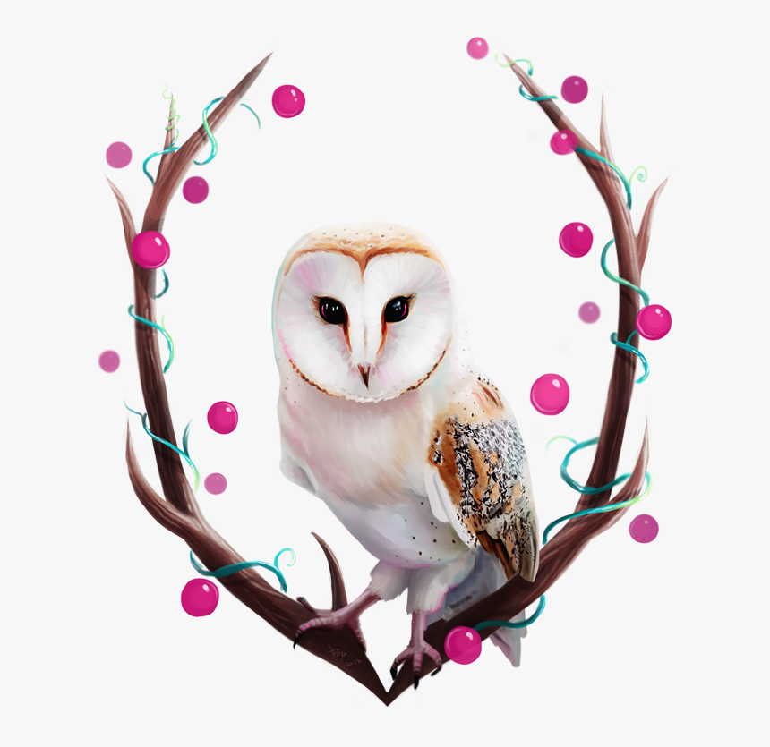 Owl - Happy Birthday Barn Owl, HD Png Download