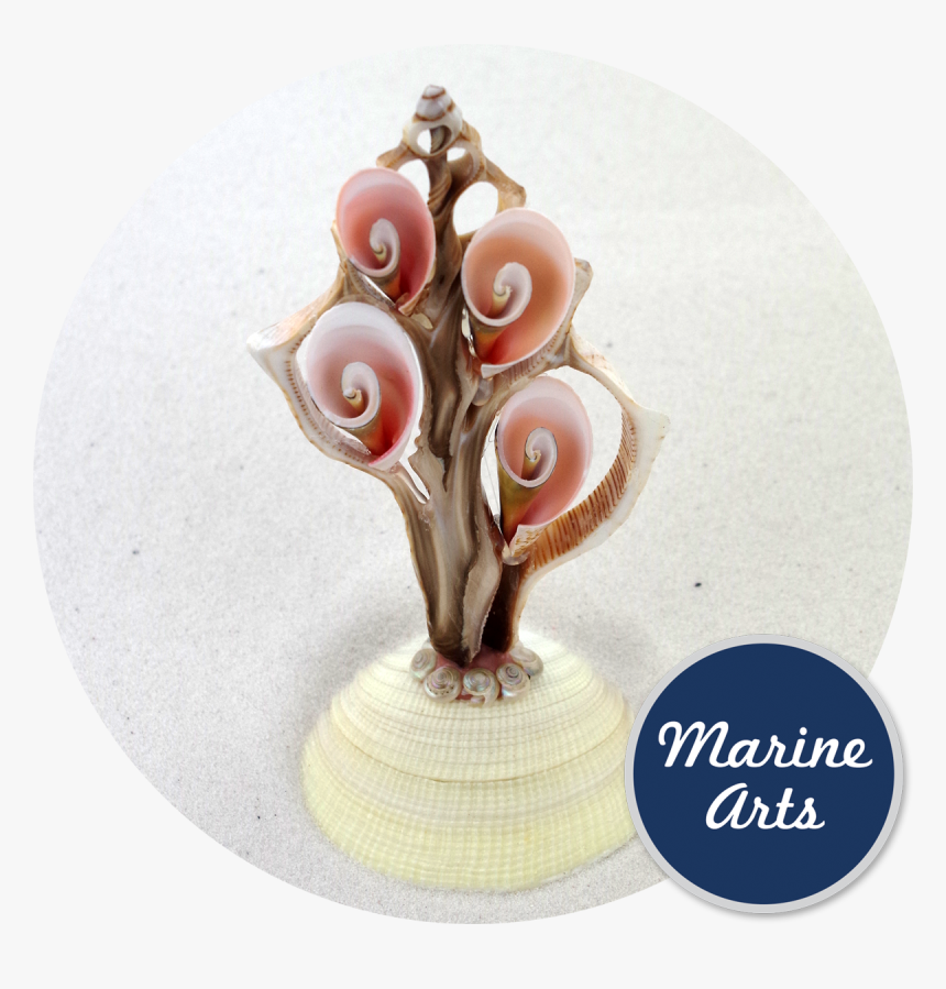 De Marchi, HD Png Download