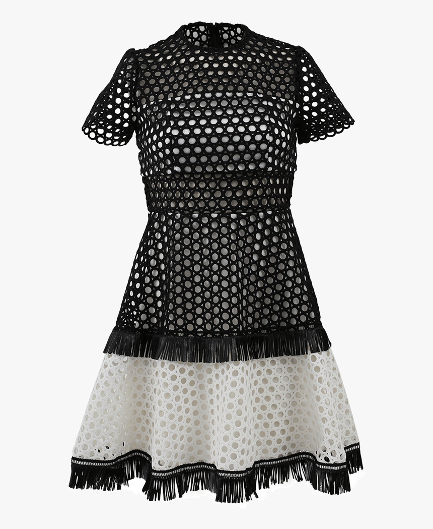 Polka Dot, HD Png Download