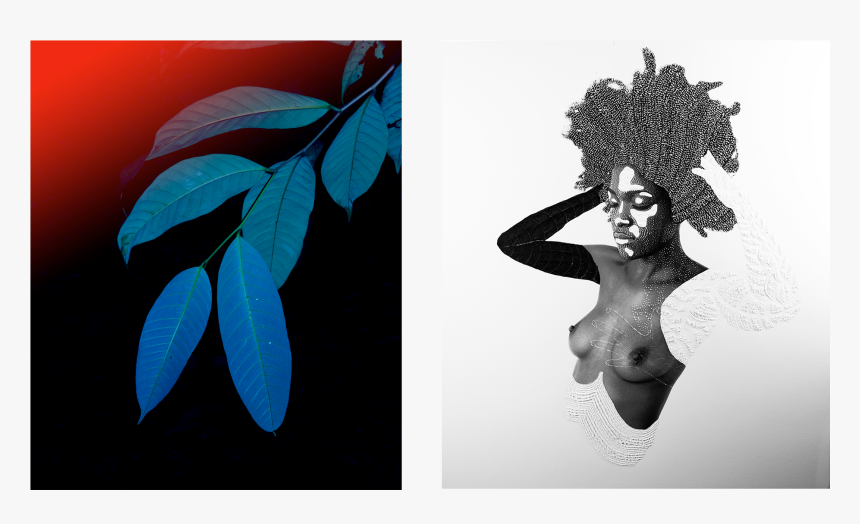 Elsa Leydier S Untitled 3 From Bracos Verdes E Olhos - Illustration, HD Png Download