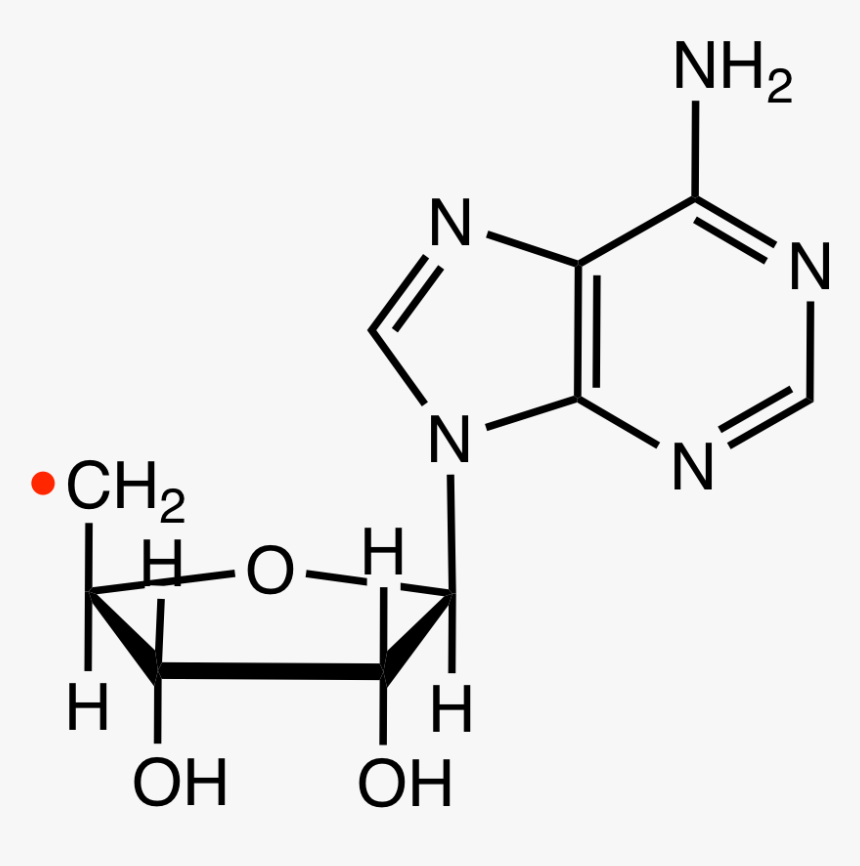 File - Adenosylradrvd - 2 '- O Methyladenosine, HD Png Download