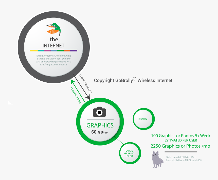 Circle, HD Png Download